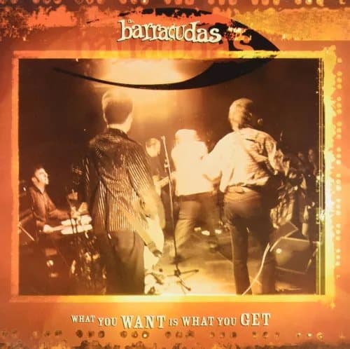 Barracudas What You Want Is What You Get (Vinyl) New