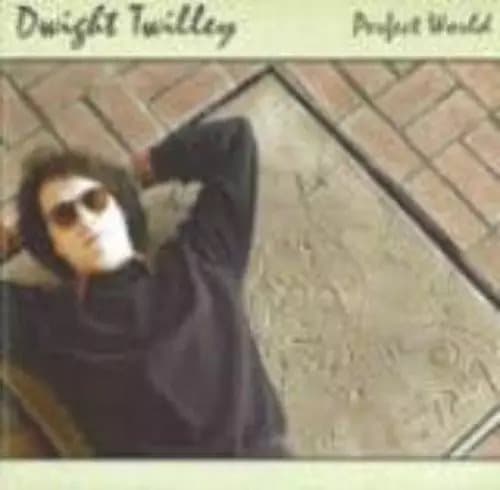 ?????? Perfect World (Vinyl) New