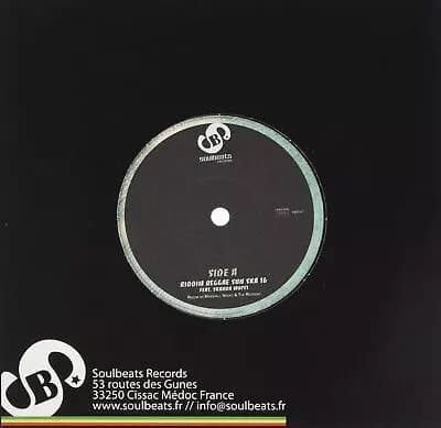 Skarra Mucci Reggae Sun Ska 16 Riddim (Vinyl) New