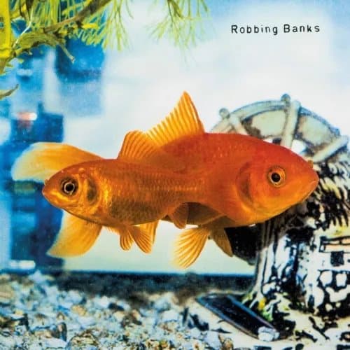 Robbing Banks This & That (Vinyl) New