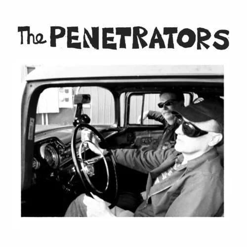 The Penetrators Shes’s The Kinda (Vinyl) New