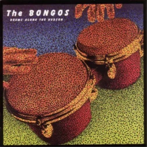 The Bongos Drums Along the Hudson (CD) Album New