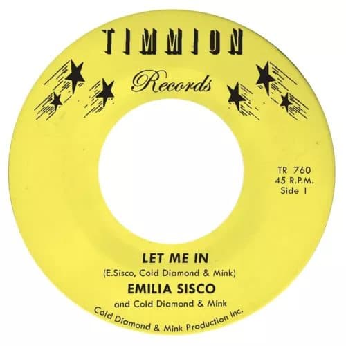 Cold Diamond & Mink & Emilia Sisco Let Me In (Vinyl) 7″ Single New
