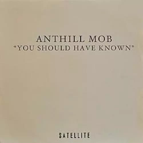 Anthill Mob You Should Have Known (Vinyl) New