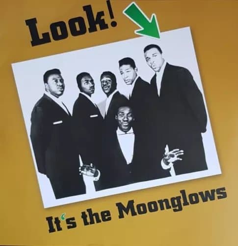 Moongrows Look It’S the Moonglows (Vinyl) New