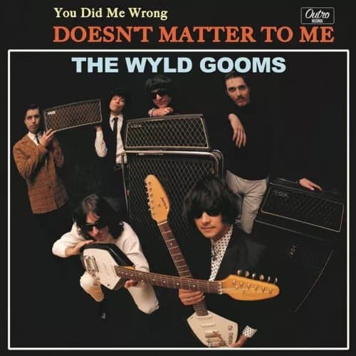 The Wyld Gooms You Did Me (Vinyl) New
