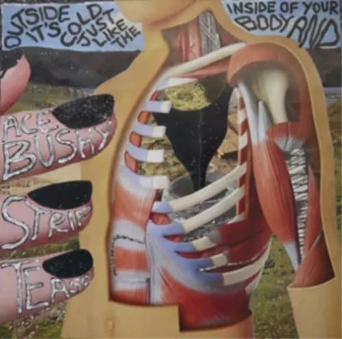 Ace Bushy Striptea Outside It’s Cold Just Like the Inside of Your Body A (Vinyl) New
