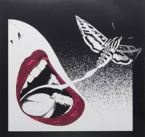 Spitzer Loose Cannons (Vinyl) New