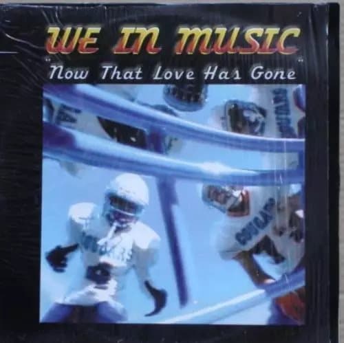 We In Music Now That Love Has Gone (Vinyl) New
