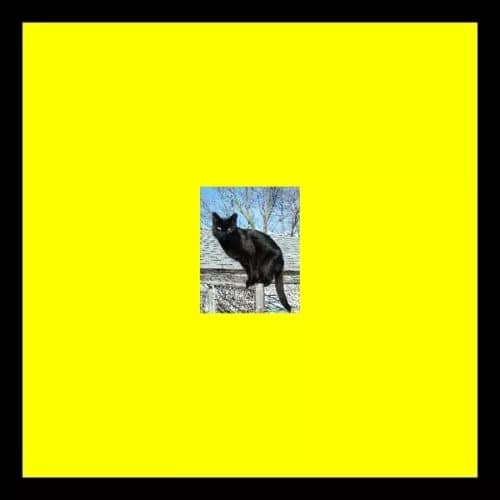 Pitto Panthers on the Roof Ep (Incl Lauer (Vinyl) New