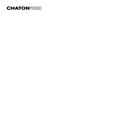 Chaton Possible (Vinyl) New