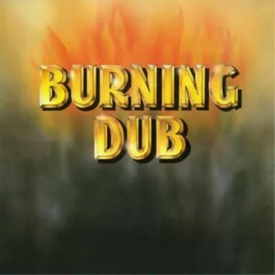 The Revolutionaries Burning Dub (Vinyl) 12″ Album New