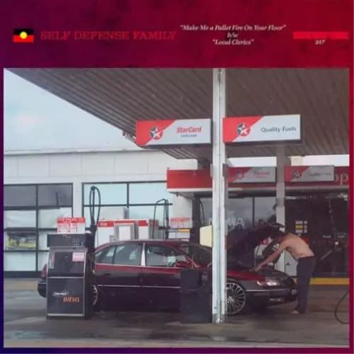 Self Defense Family Make Me a Pallet Fire On Your Floor/Local Clerics (Vinyl) New