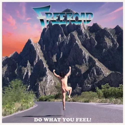 Freeroad Do What You Feel! (Vinyl) 12″ Album New