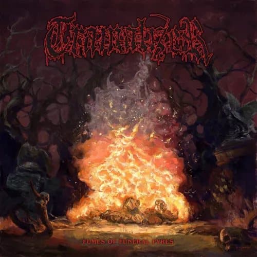 Tramalizer Fumes of Funeral Pyres (Vinyl) New