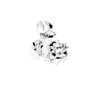 Anna Webber and Matt Mitchell Capacious Aeration (Vinyl) 12″ Album New