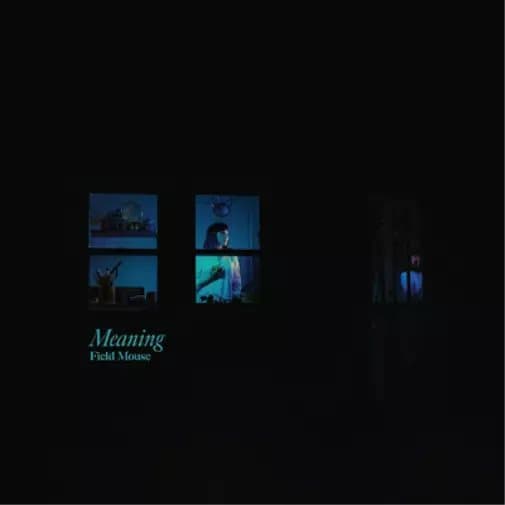 Field Mouse Meaning (Vinyl) 12″ Album New