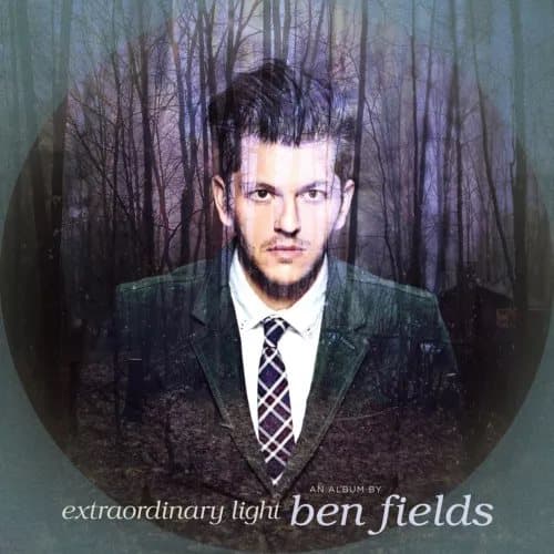 Ben Fields Extraordinary Light (Dl (Vinyl) New