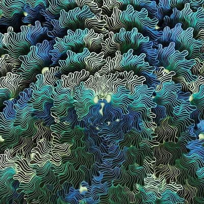 IzangMa Ngo Ma (Vinyl) 12″ Album New