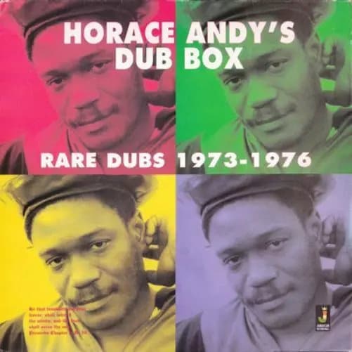 Horace Andy Horace Andy’s Dub Box: Rare Dubs 1973-1976 (Vinyl) 12″ Album New