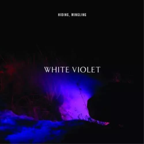 White Violet Hiding, Mingling (CD) Album New