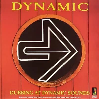Dynamic Dubbing at Dynamic Sounds (Vinyl) 12″ Album New