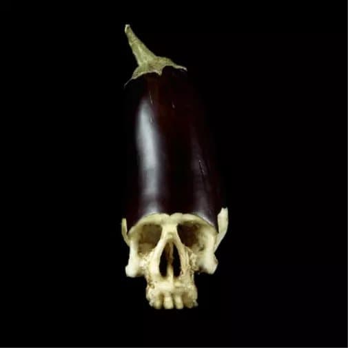 Gensu Dean & Denmark Vessey Whole Food (Vinyl) 12″ Album Coloured Vinyl New