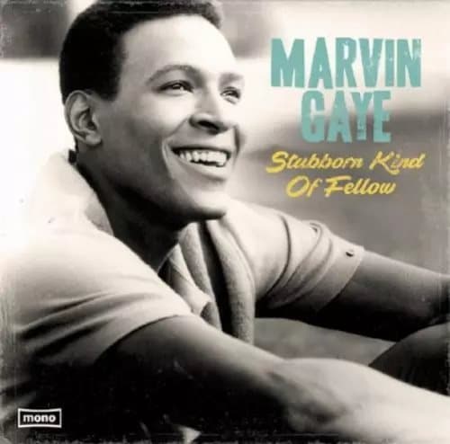 Marvin Gaye Stubborn Kind of Fellow (Vinyl) 12″ Album New