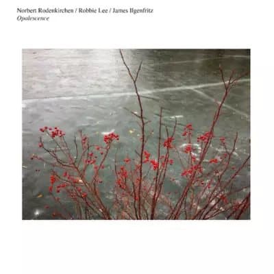 Norbert Rodenkirchen/Robbie Lee/James Ilgenfritz Opalescence (Vinyl) 12″ Album New