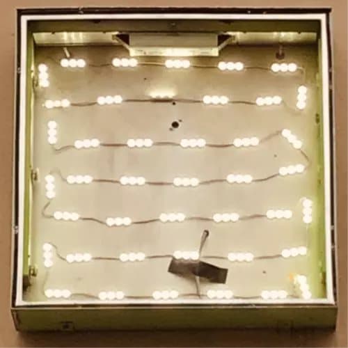 Oso Oso Basking in the Glow (Vinyl) 12″ Album New