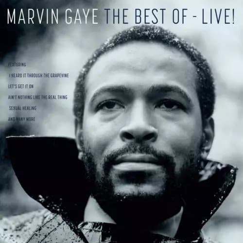Gaye,Marvin The Best of-Live! Viny (Vinyl) New