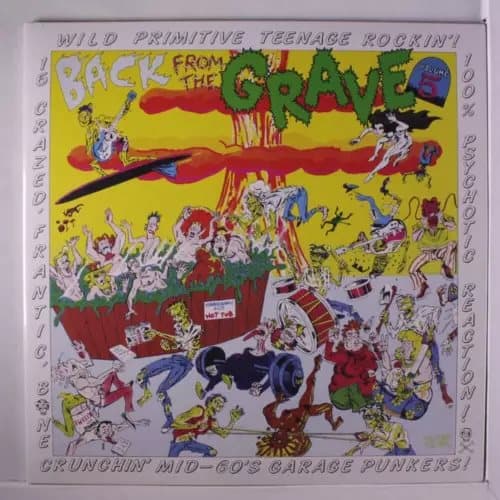 VARIOUS back from the grave, vol. 5 LP (Vinyl) New
