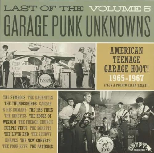 VARIOUS ARTISTS Last Of The Garage Punk Unknowns 5 (Vinyl) New