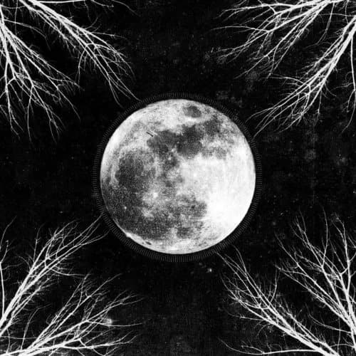 Corpus Christii Pale Moon (LP) (Vinyl) New
