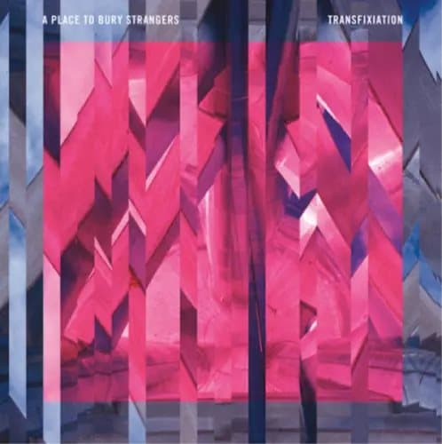 A Place to Bury Strangers Transfixiation (Vinyl) 12″ Album New