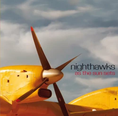 Nighthawks As The Sun Sets (Vinyl) New