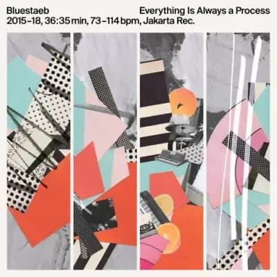 Bluestaeb Everything Is Always a Process (Vinyl) 12″ Album New
