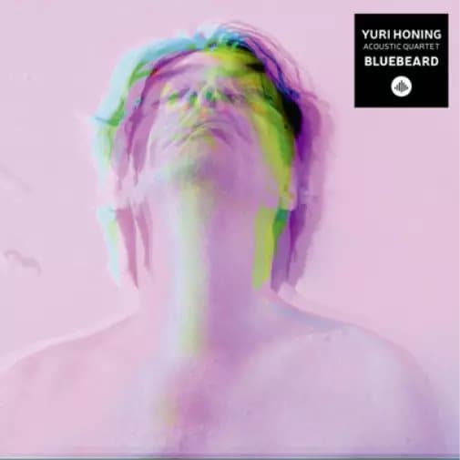 Yuri Honing Acoustic Quartet Bluebeard (Vinyl) 12″ Album New