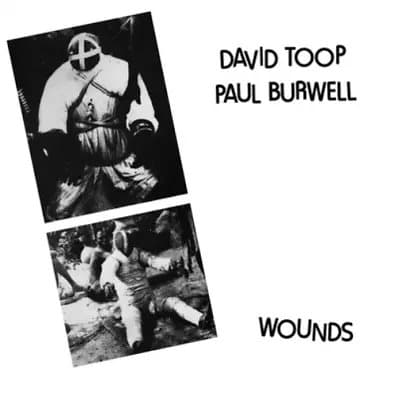 David Toop & Paul Burwell Wounds (Vinyl) 12″ Album New