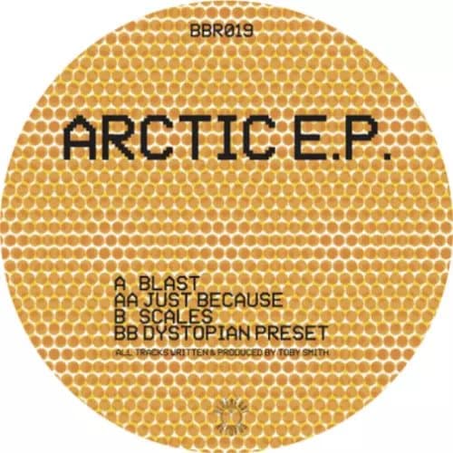 Secret Static Arctic EP (Vinyl) 12″ EP New