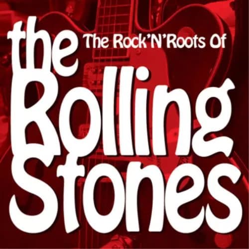 Various Artists The Rock ‘N’ Roll Roots of the Rolling Stones (Vinyl) 12″ Album New