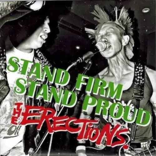 Erections Stand Firm, Stand Proud Vinyl NEW New