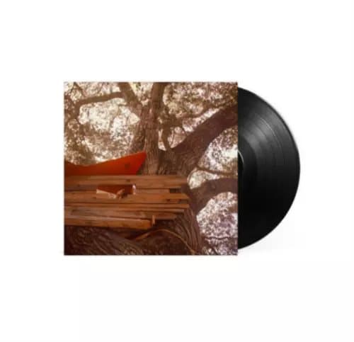 The Backseat Lovers Waiting to Spill (Vinyl) 12″ Album New