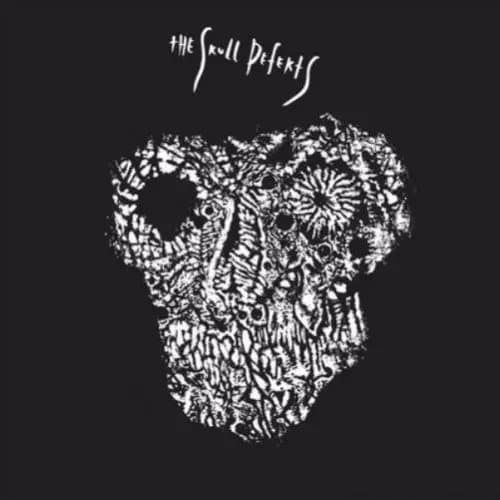 The Skull Defekts The Skull Defekts (Vinyl) 12″ Album New