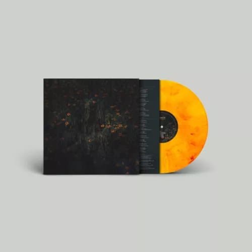 Compro Oro Estarantos (Vinyl) New