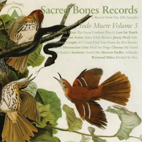 Various Artists Todo Muere - Volume 5 (Vinyl) 12″ Album New