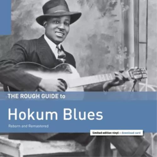 Various Artists The Rough Guide to Hokum Blues (Vinyl) 12″ Album New