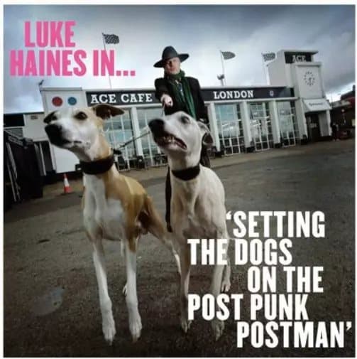 Luke Haines Luke Haines In… Setting the Dogs On the Post-punk Postman (Vinyl) New