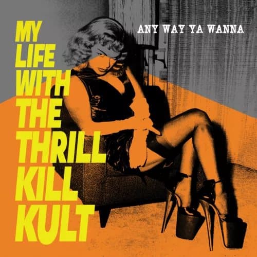 My Life With the Thrill Kill Kult Any Way Ya Wanna (Vinyl) New