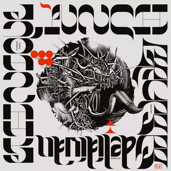 Grup Ses & Ethnique Punch Deli Divan (Vinyl) 12″ Album New